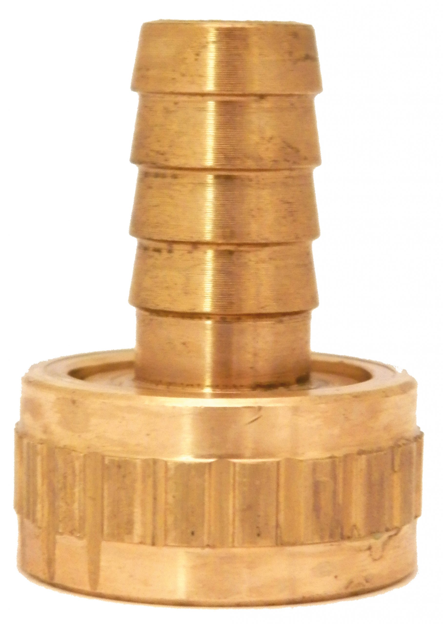 7102760-scaled-scaled