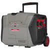 ELVERK BRIGGS INVERTER P4500